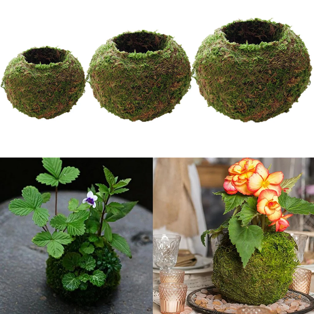12cm Moss Flower Pot Moss Ball Weave Preserved Pot Garden Decor Unique 