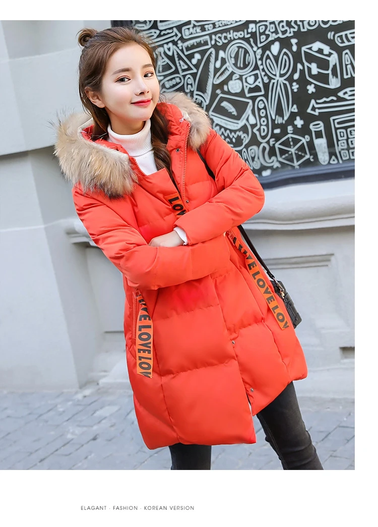 Winter Jacket Women Medium  Long Section Down Cotton Clothing Winter Woman Coats 2018 Big Fur Collar Women's Winter Jacket (4)