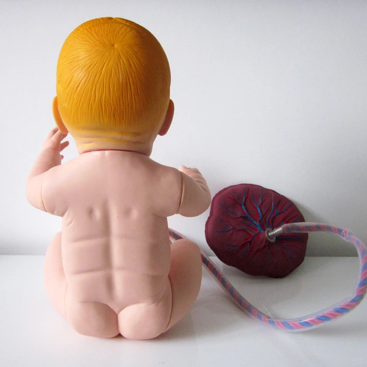 132 newborn baby (5)