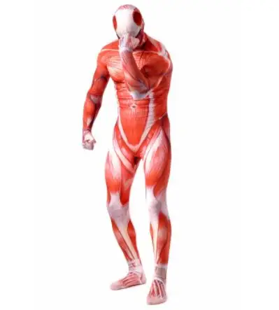 

Attack On Titan Men Cosplay Costumes Titans Muscle Muscular Suit Bodysuit Bertolt Hoover Lycra Flesh Zentai Halloween Costume