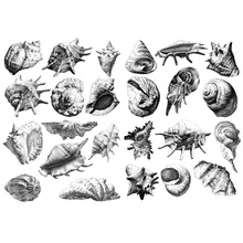 1 шт. черный эскиз ракушка корейский Precut украшения наклейки Настольный органайзер школьные принадлежности офисные аксессуары