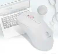 Computer Peripherals