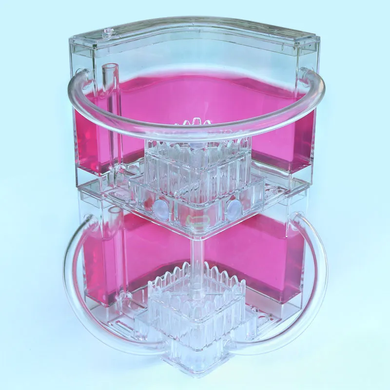 Ant Farm DIY with feeding area ant nest Ant farm acryl Insect ant nests villa pet  for house ants Insect Ecology Box Natural toy (1)