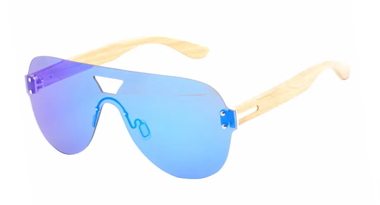 LS5039-C2 (1)
