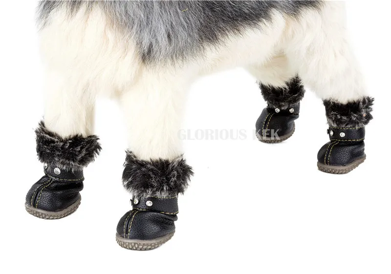Dog Boots (8)