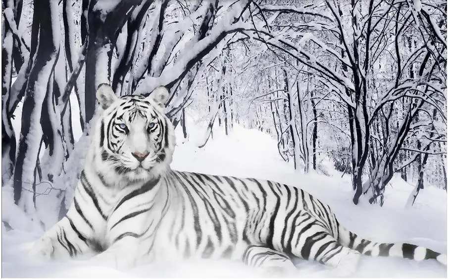 Download 780 Background Hijau Harimau HD Terbaru