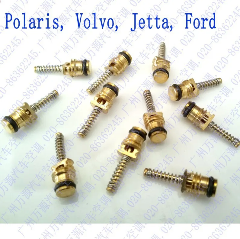 31pcs Automotive ac valve cores/high and low pressure refrigerant pipe nozzle valve needle/removable core repair tool