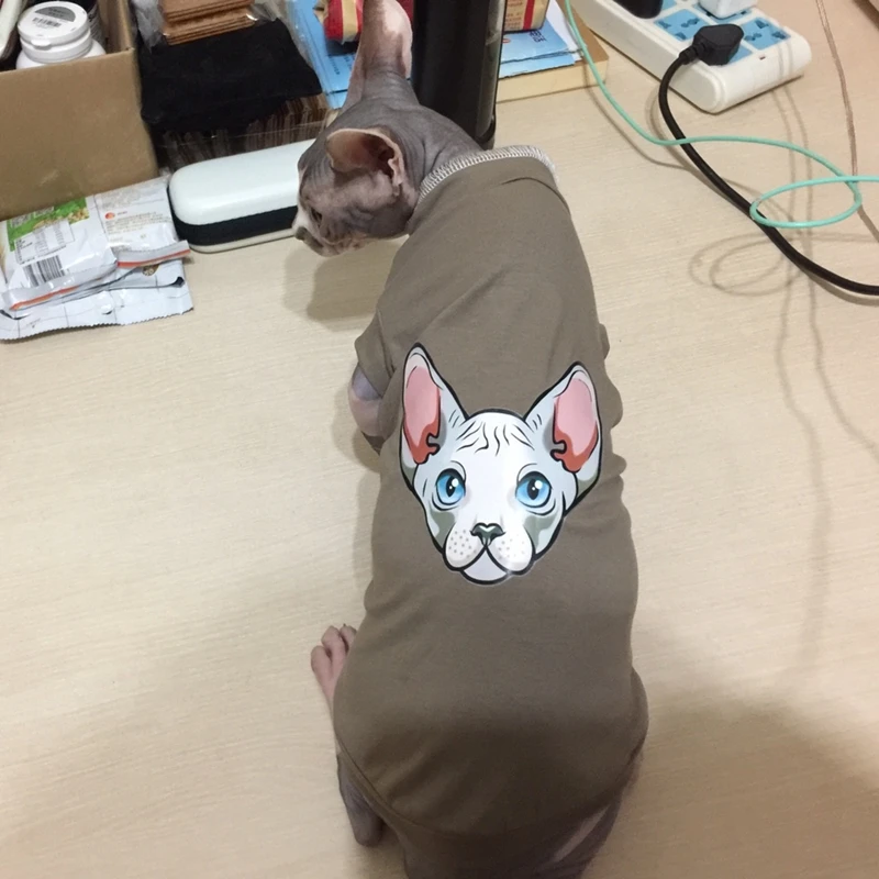 Hairless Сфинкс Кошка одежда Летний жилет одежда трикотажная футболка