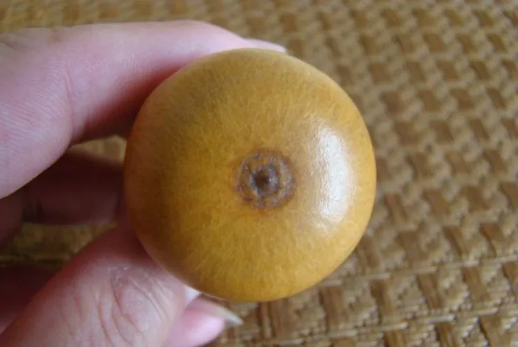 TB2TICTXVXXXXbdXXXXXXXXXXXX_!!728812219