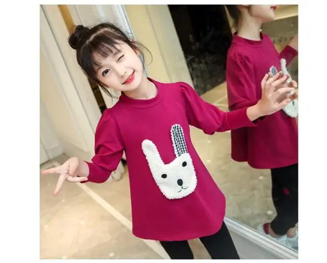QQ20170904095013