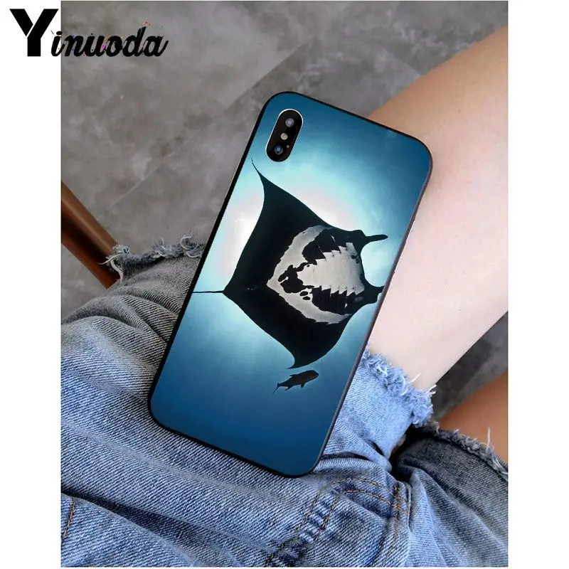 Animal manta ray