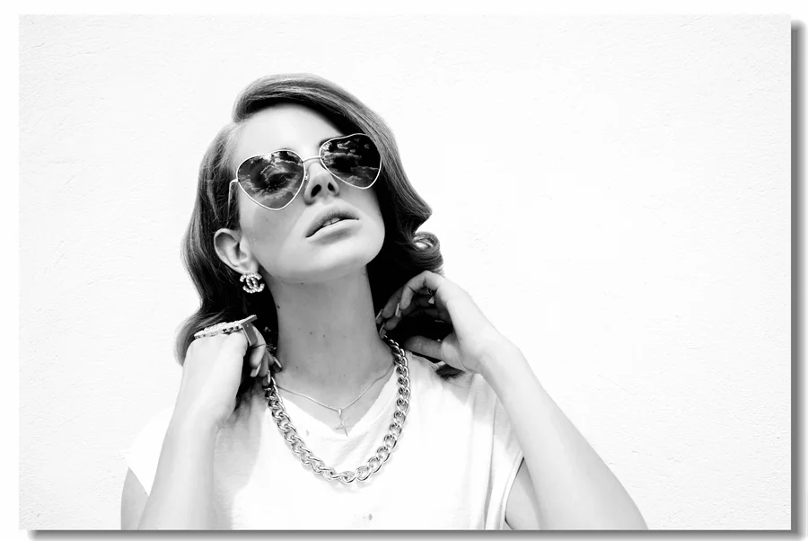 502 Lana Del Rey Art Wall Cloth Poster Print