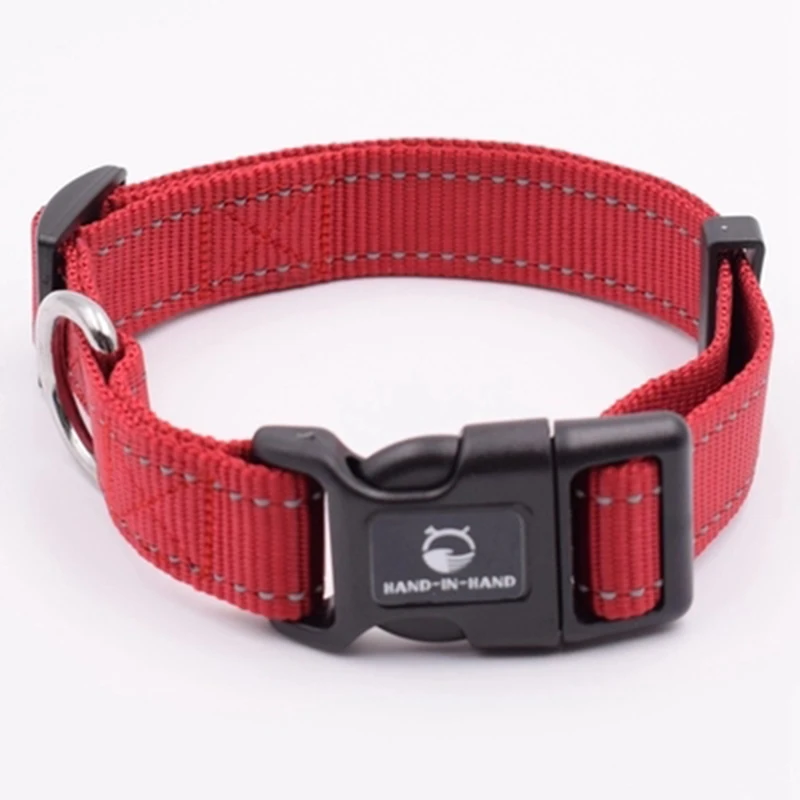 correas para perros (5)