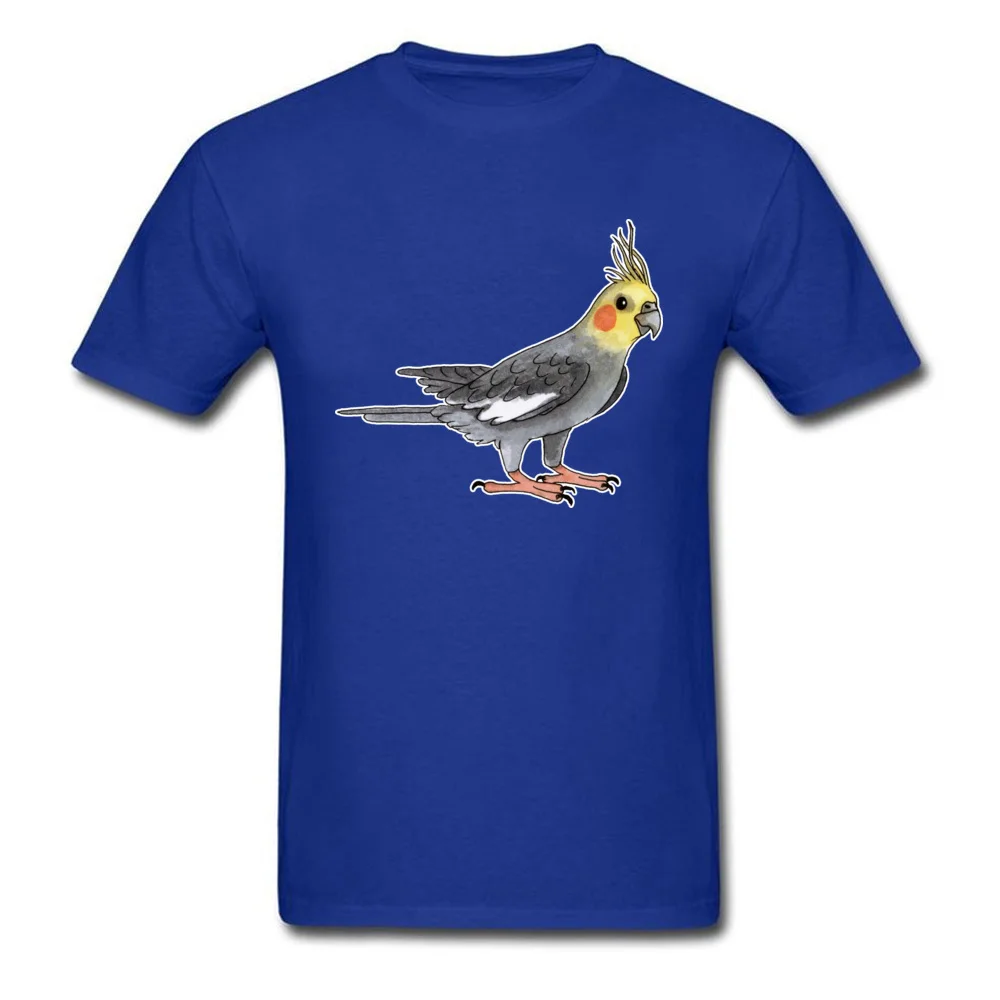 Cockatiel_blue