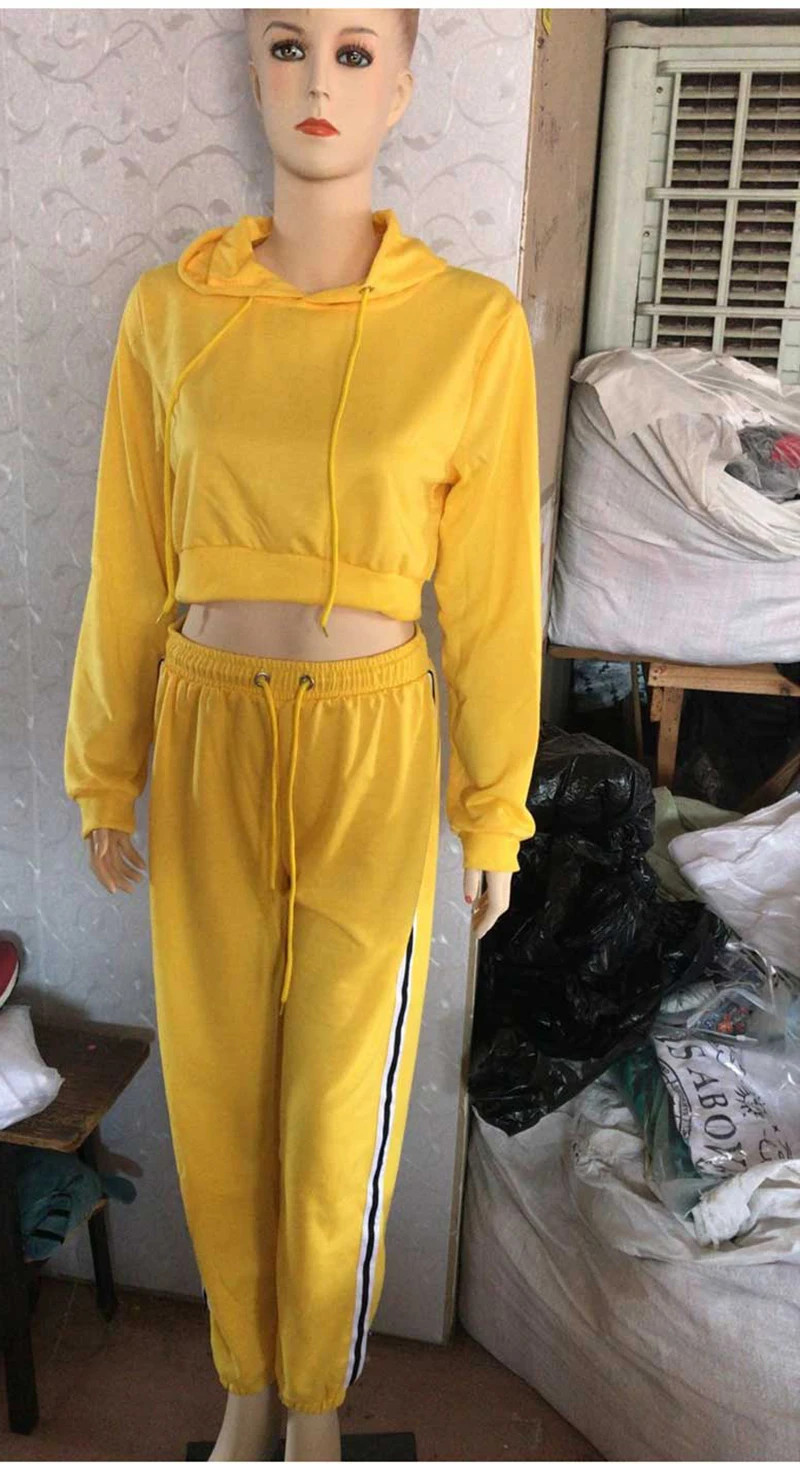 BK02049_23