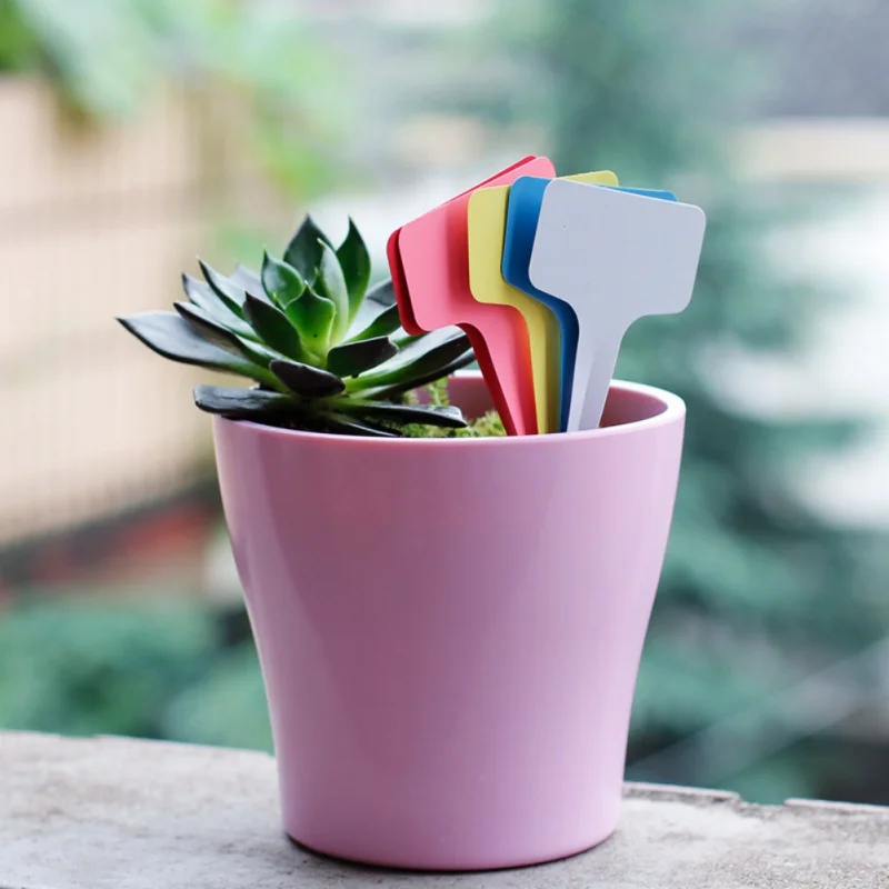 100 шт Т-типа пластиковые водонепроницаемые этикетки растений садовые украшения наклейки для садоводства Детские Цветочные бирки