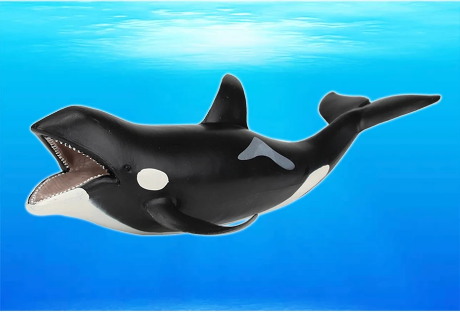 Killer-Whale_03