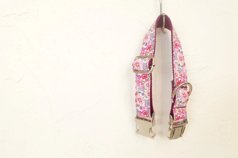 Pet Dog Collar and Leash (13)