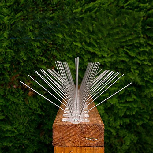 

Premium spread bird spikes,Stainless Steel Pigeon Spikes Anti Bird Anti Pigeon Spike Scare Pigeons Bird Seagull Away,pack of 4