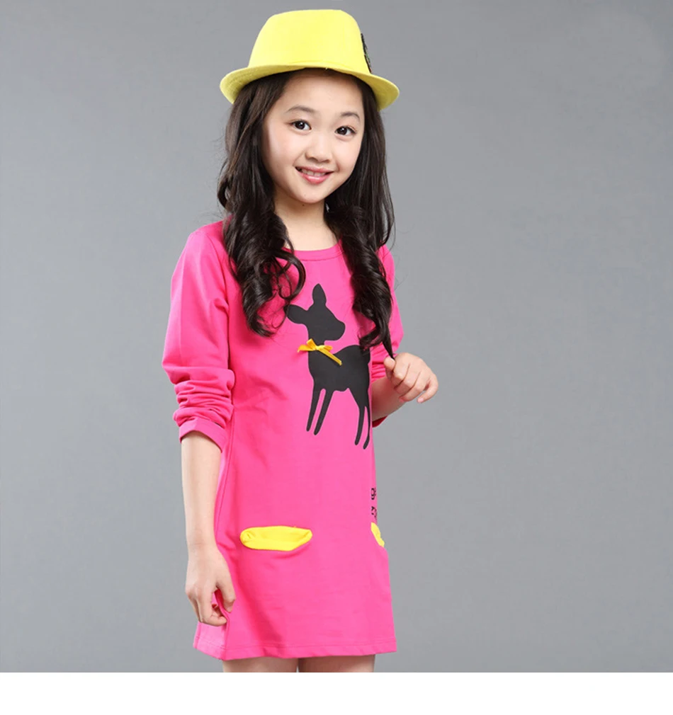 5--Banner-2