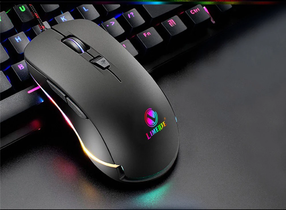 Mouse-2_06