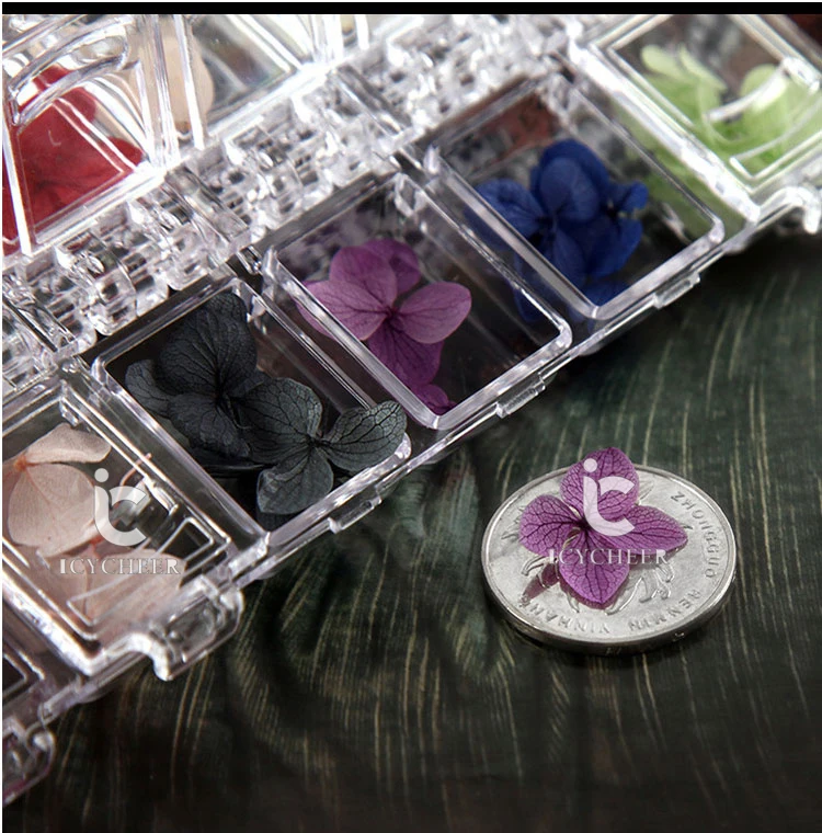 ICYCHEER 12 Цвет/коробка ногтей Книги по искусству природа сухие цветы комплект Гель-лак Совет 3D DIY Цветочные украшения ногтей Книги по искусству инструменты