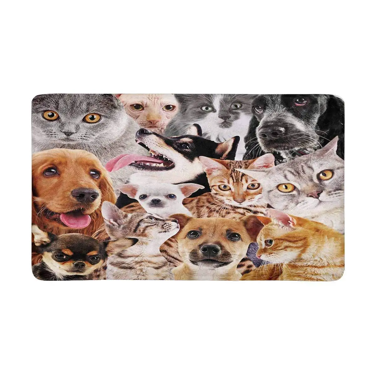 Cute Dog and Cat Indoor Entrance Doormat Non Slip Door Mat Entrance