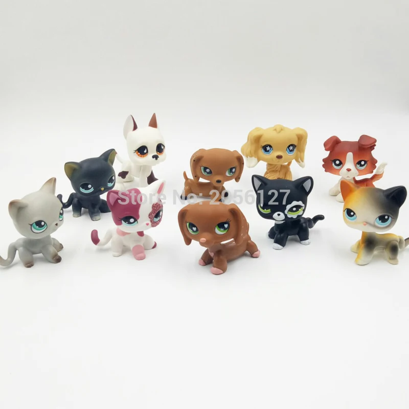 10 шт./пакет Настоящее pet shop lps игрушечные лошадки короткошерстая кошка Редкие такса колли спаниель большой Дэйн старый реальная фигура с