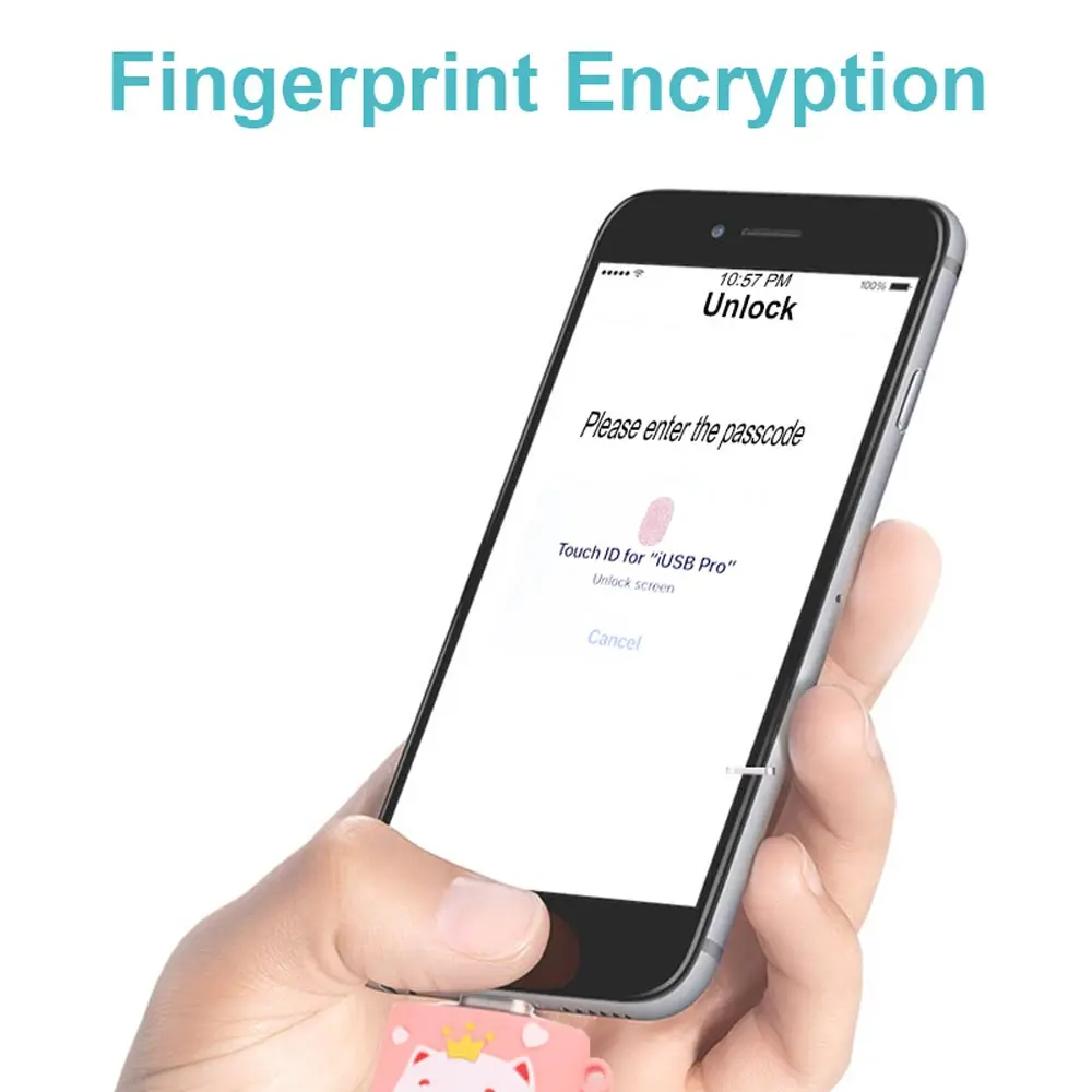 Ingelon USB флэш накопитель для iPhone X/8/7/7 Plus/6 Plus/6s/5/SE ipad ipod зашифрованные флэшку 32gb 64gb 128gb