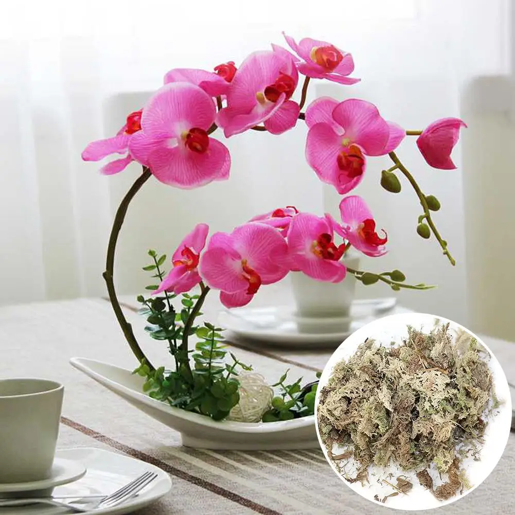 

Decorative Sphagnum Dry Moss Phalaenopsis Orchids Soilless Cultivation Substrate Soil 12L Compressed Pack Flowers Accessories