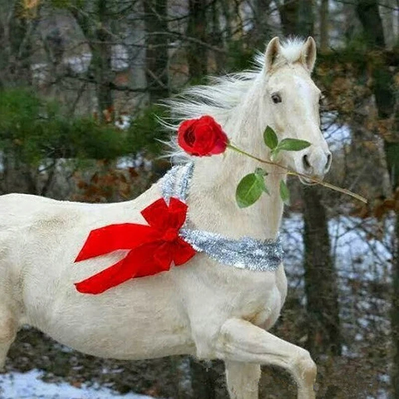 С днем рождения лошадка