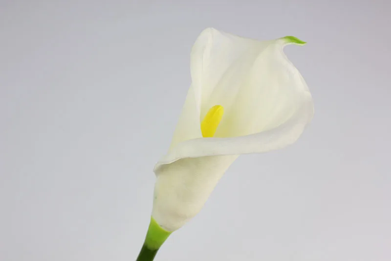 1 white