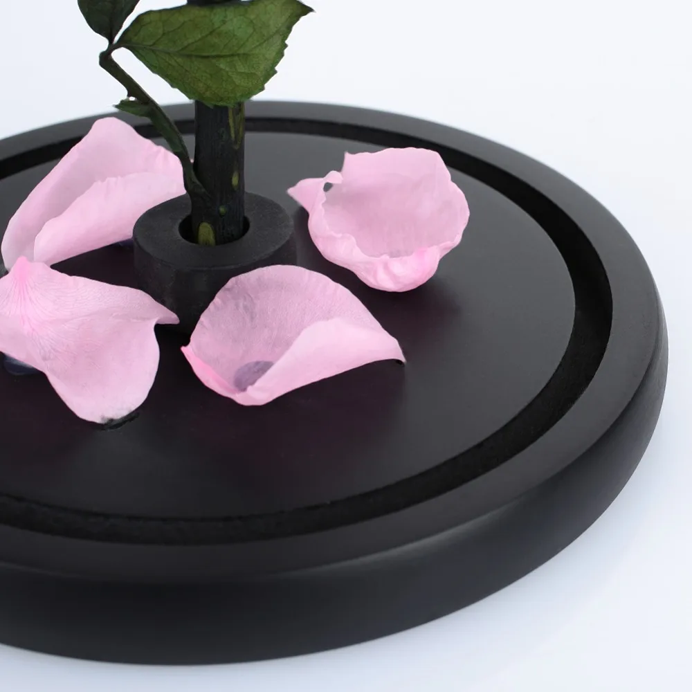 431254_5494f3fbbb6345c0b96696db1af1e592