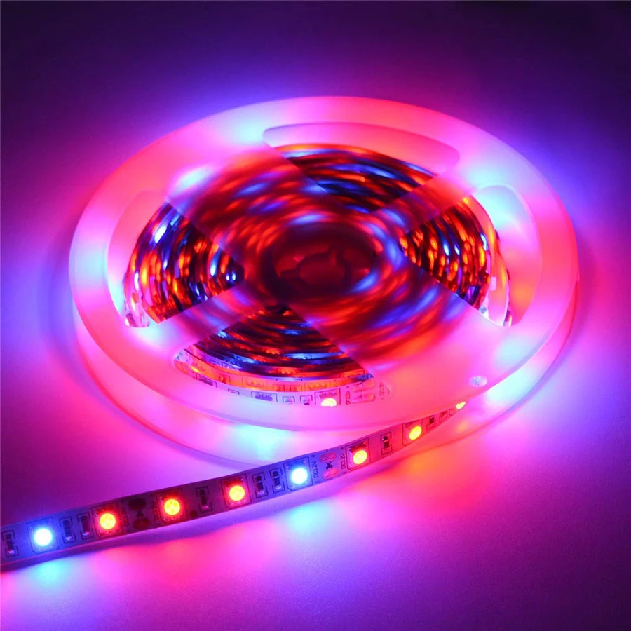1M 2M 3M 4M 5M LED Plant Grow light 5050 DC 12V Full Spectrum LED Growth Strip Light for Greenhouse Hydroponics Plant Vegetable