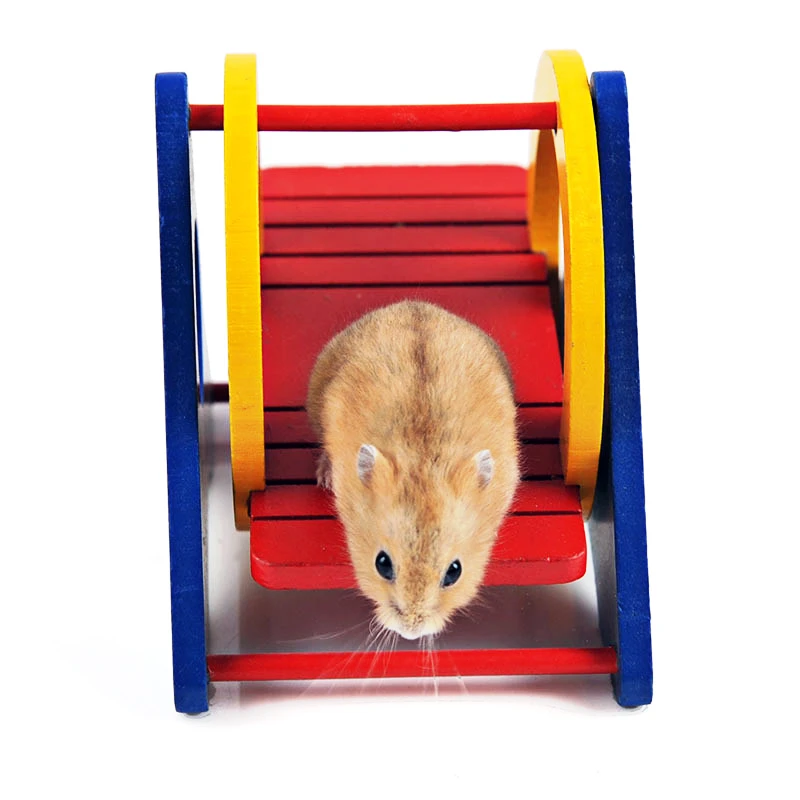 hamster on a swing