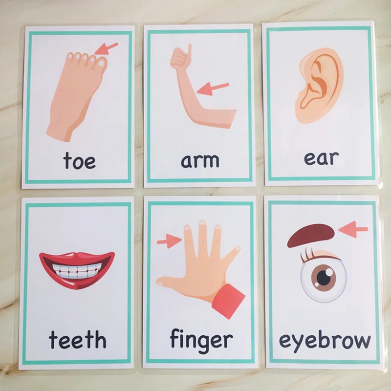 Educativos para Crianças Plurais Profissão Grupos Substantivo Inglês Crianças Bolso Palavra Flashcards Montessori Aprendizagem Brinquedos Jogo 99 Pcs 15 Home & Garden