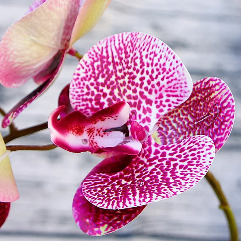 Имитация 3D фаленопсис искусственная Орхидея, Бабочка, цветы, поддельные Мотылек, Орхидея для дома, свадьбы, сделай сам, украшение, настоящее прикосновение