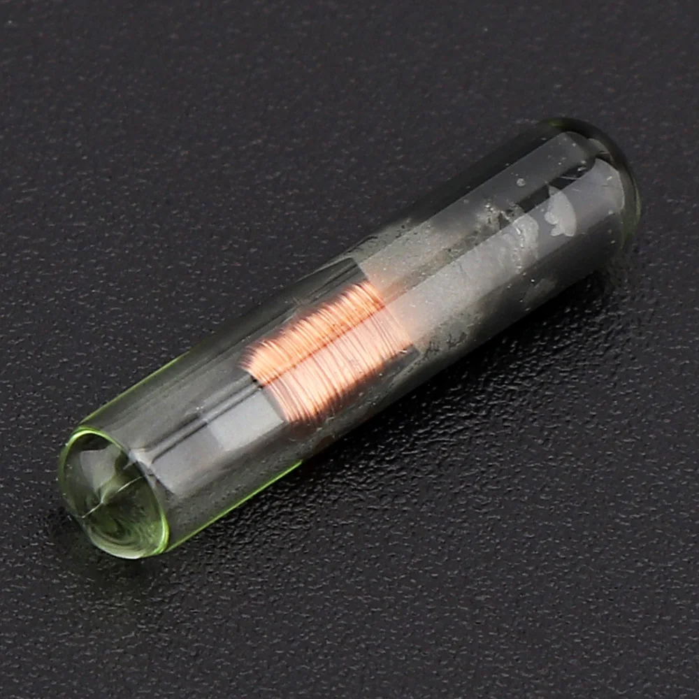 23913-first-1-l0.jpg