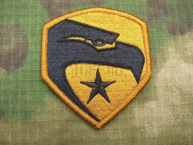 G.I.JOE Eagle Logo Tactical military morale Embroidered patch B2529in