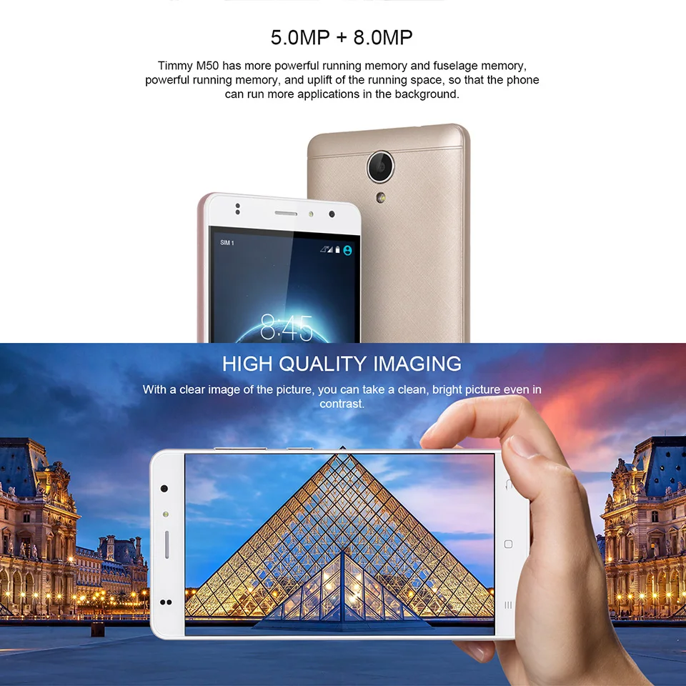Dual Sim Mobile Phone (1)