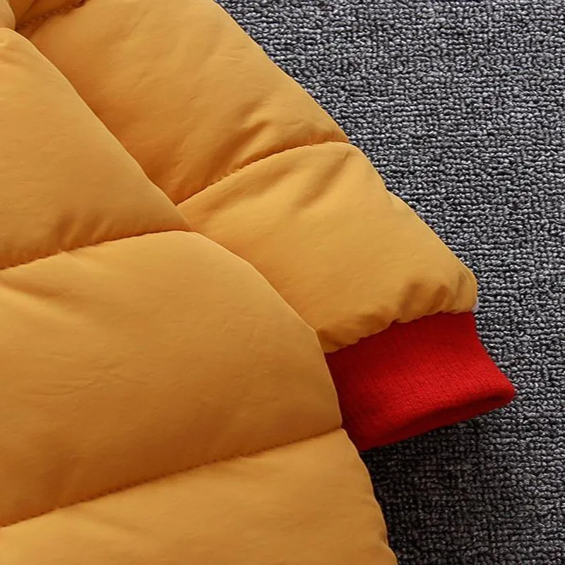 36020190126174738831_