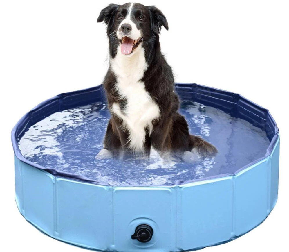 hard paddling pools for dogs