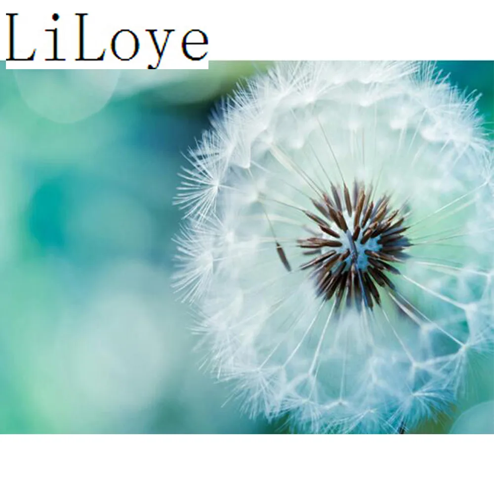 

LI LOYE Diamond Embroidery 5D DIY Diamond Painting Cross Stitch Dandelion Full Diamond Mosaic Rhinestones Decor Paintings RT63