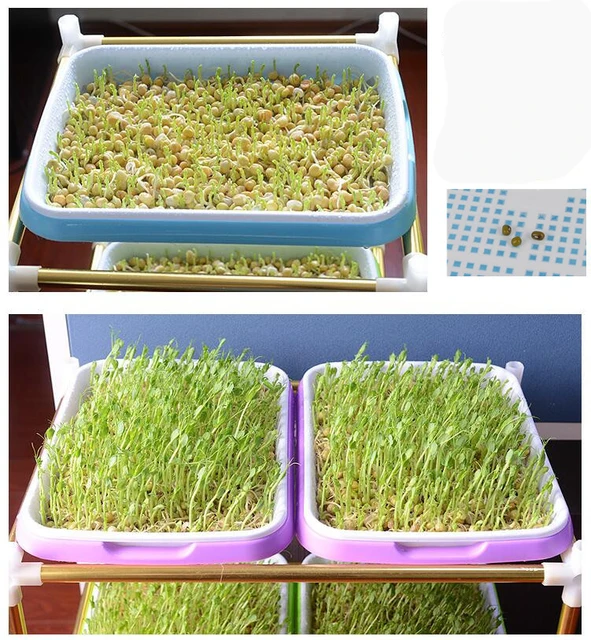 VICTMAX 2sets Double-Layer Seed Sprouter Nursery Pots Hydroponics Basket Flower Plant Germination Tray Box