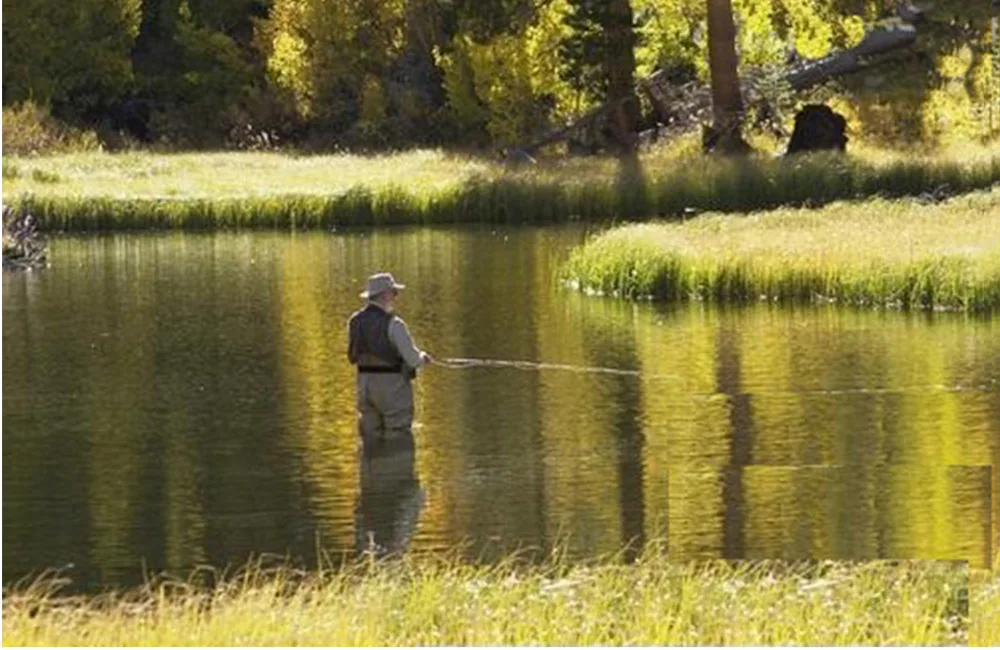 Cheap wader pants