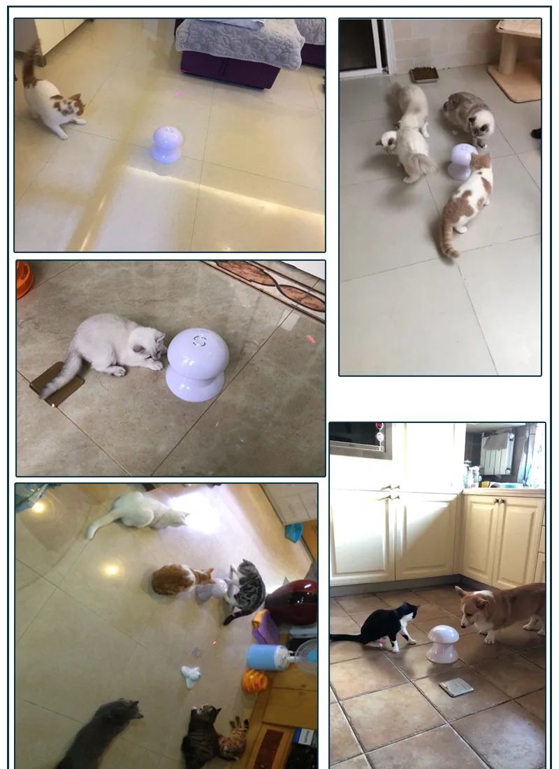 Лазерная Игрушка для кошек, собак, 360 градусов, автоматический поворотный лазерный светильник, интерактивные электрические игрушки для кошек