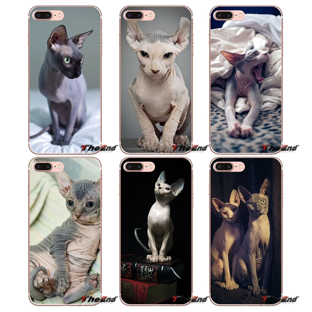 

Soft TPU Case Friendliest sphynx cat kitty For iPhone X 4 4S 5 5S 5C SE 6 6S 7 8 Plus Samsung Galaxy J1 J3 J5 J7 A3 A5 2016 2017