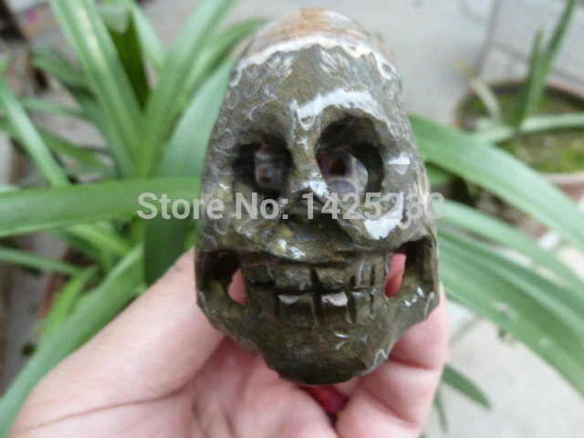 

Natural conch carving skull
