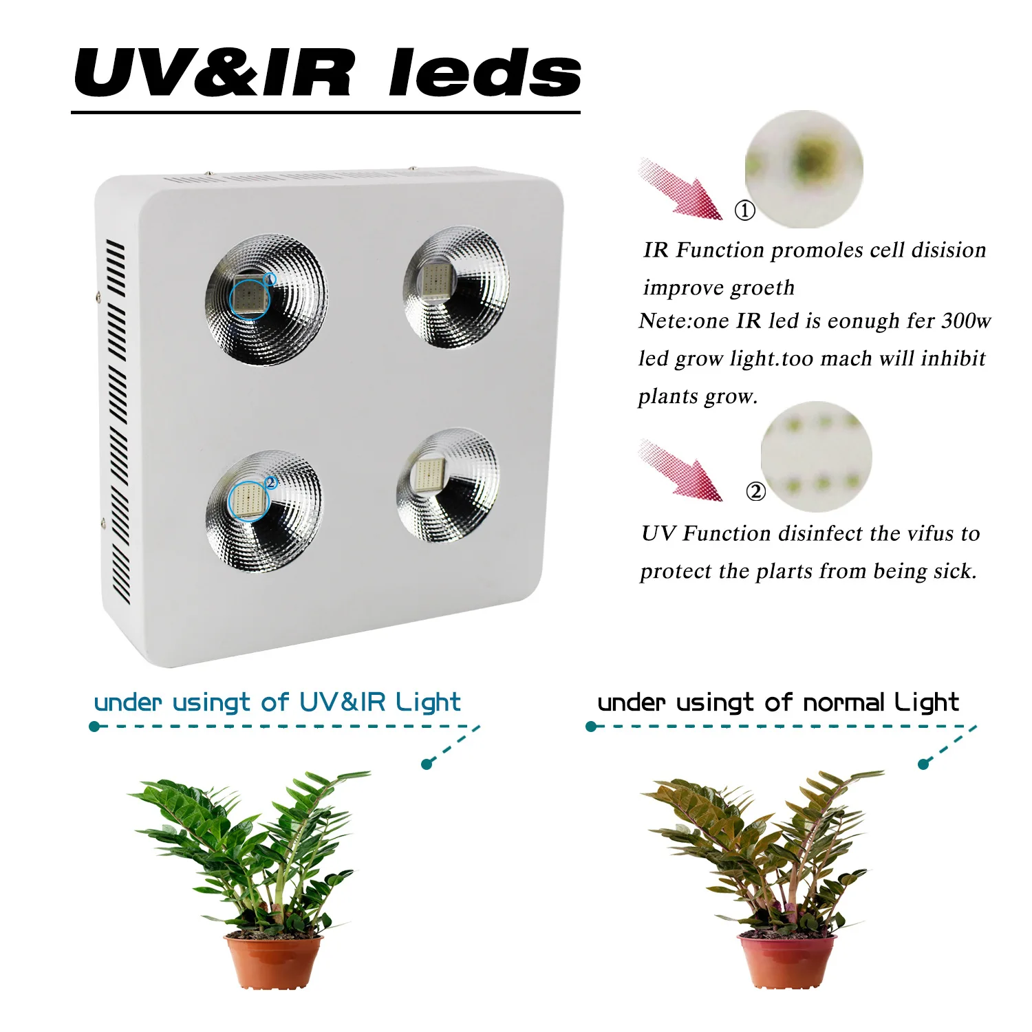 800w Cob Led Grow Light Full Spectrum for Hydroponics Greenhouse Indoor Plant Veg and Flower System Grow Lamp Kit with UV & IR 800w Cob Led Grow Light Full Spectrum for Hydroponics Greenhouse Indoor Plant Veg and Flower System Grow Lamp Kit with UV & IR
