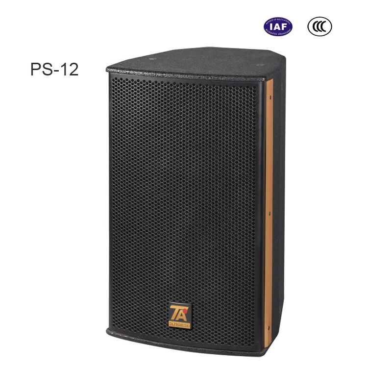 12 inch 300w speaker